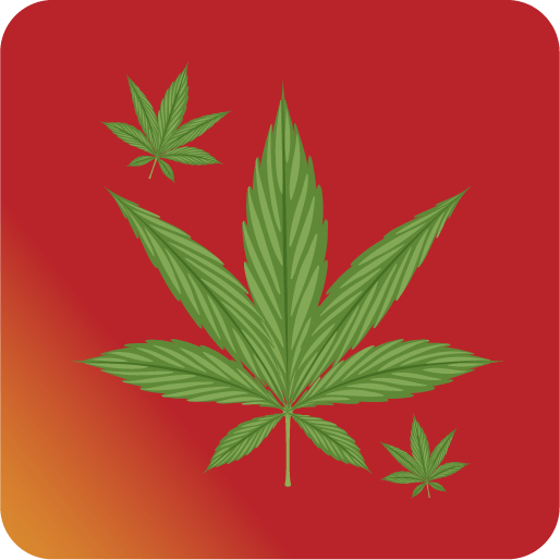 Pakistan Weight Loss Sale 2025 – Slim Products OFF & Supplement Deals